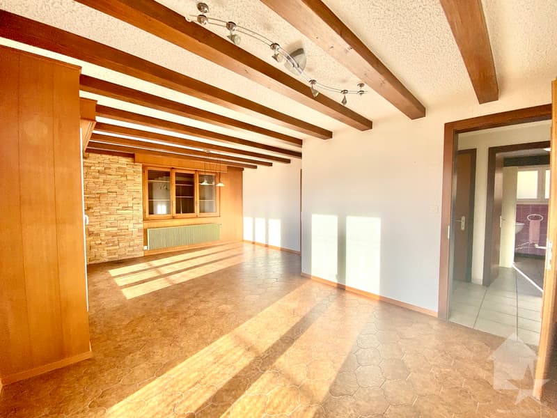 Lot immobilier, maison + terrains constructibles ! (8)