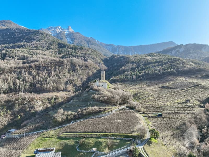 Grand terrain à construire dans le village de Saxon (5)
