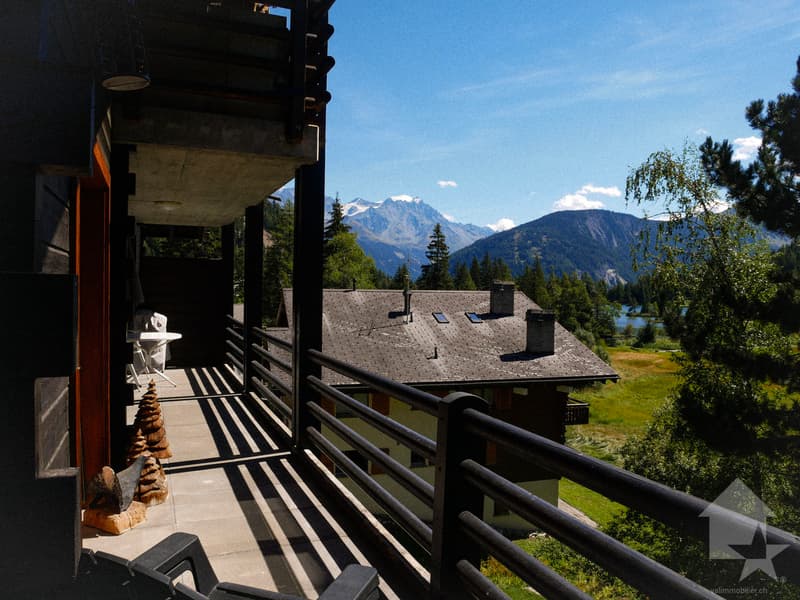 Vue sur le Grand-Combin