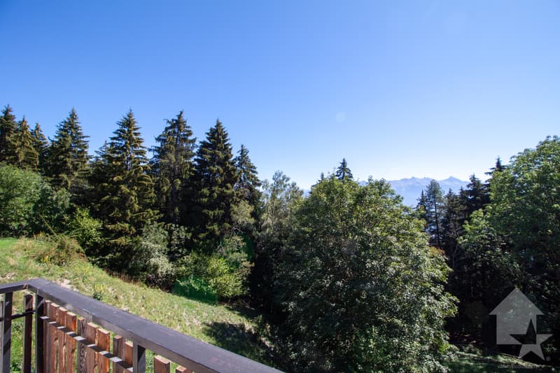 Appartement dans un petit chalet aux Mayens de Conthey (8)