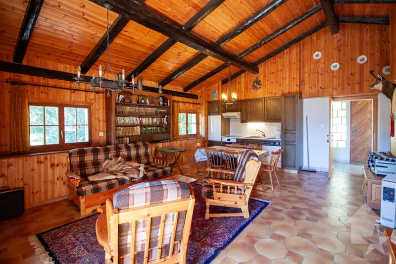 Appartement dans un petit chalet aux Mayens de Conthey (3)