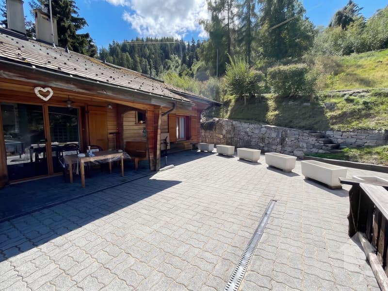 Au coeur de la station, agréable 2.5 pièces avec une grande terrasse (12)