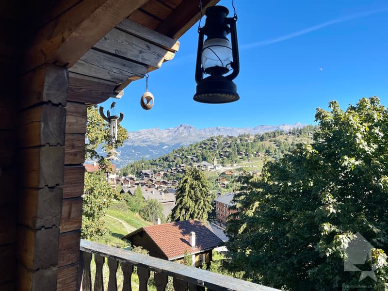 Au coeur de la station, agréable 2.5 pièces avec une grande terrasse (11)