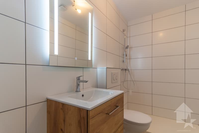 Bâtiment de trois appartements entièrement rénové avec goût (13)