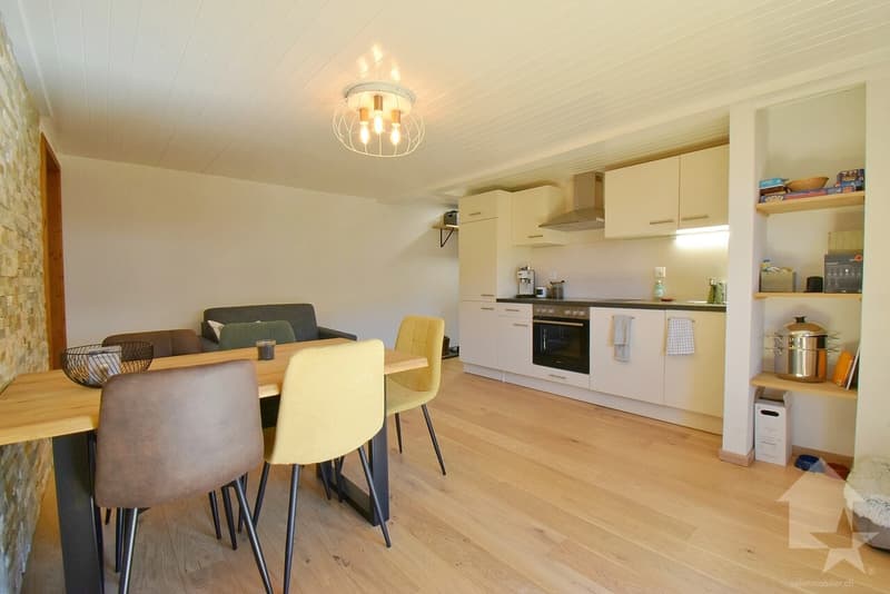 Magnifique appartement de 3.5 pièces complètement rénové en 2024 (4)
