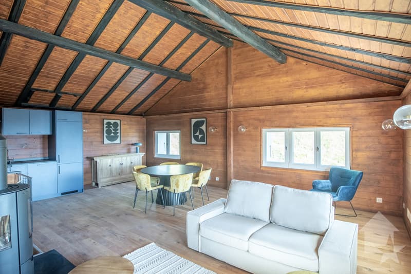 Maison de deux logements refaite à neuf! Calme, vue, ensoleillé (9)