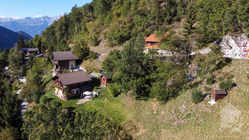 Splendide terrain à bâtir sur les hauteurs de Vissoie (1)