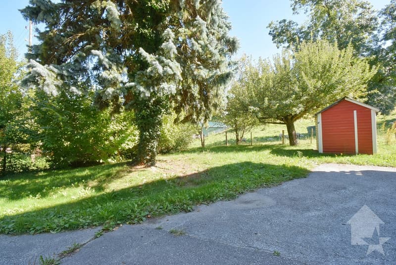 Magnifique petite maison rénové et au calme sur une belle parcelle (5)