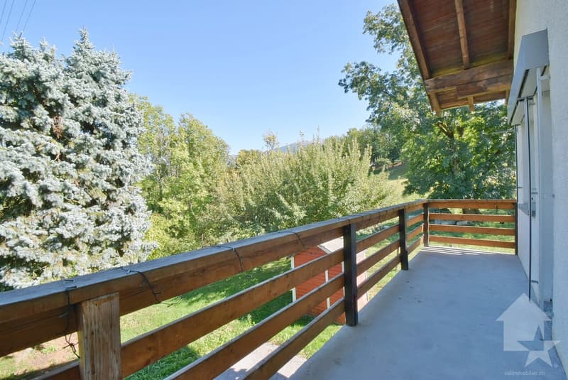 Magnifique petite maison rénové et au calme sur une belle parcelle (3)
