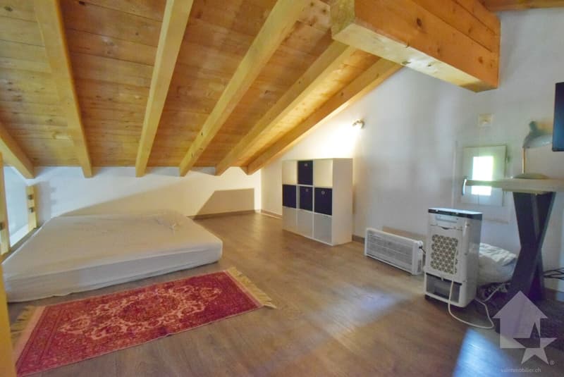 Magnifique petite maison rénové et au calme sur une belle parcelle (7)