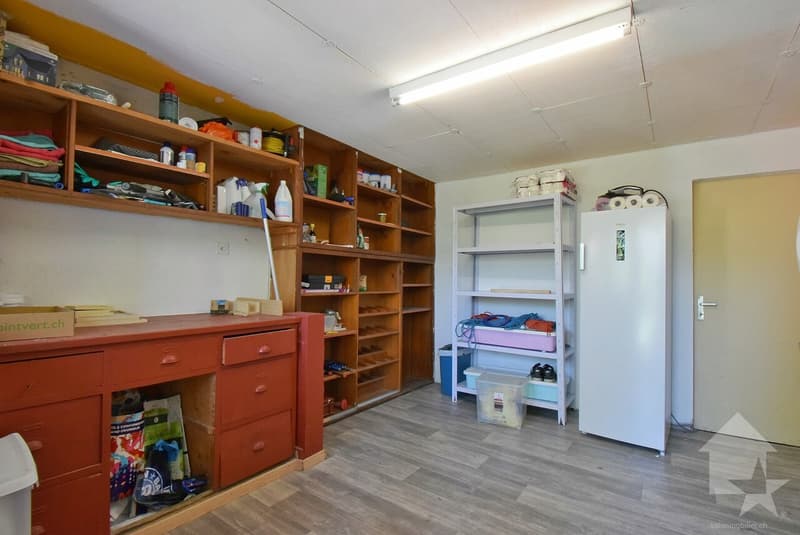 Magnifique petite maison rénové et au calme sur une belle parcelle (13)