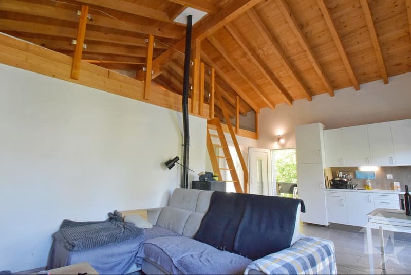 Magnifique petite maison rénové et au calme sur une belle parcelle (10)