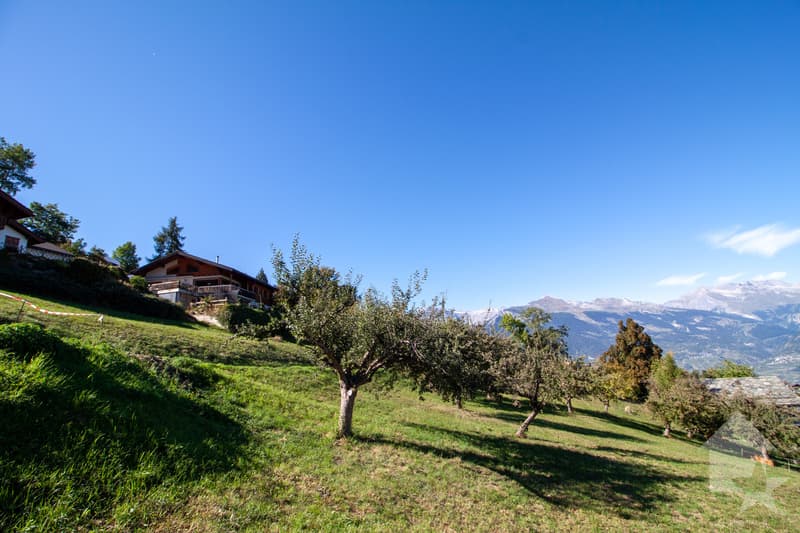 Superbe parcelle de 2'978 m2 à bâtir à 5 minutes des pistes (3)