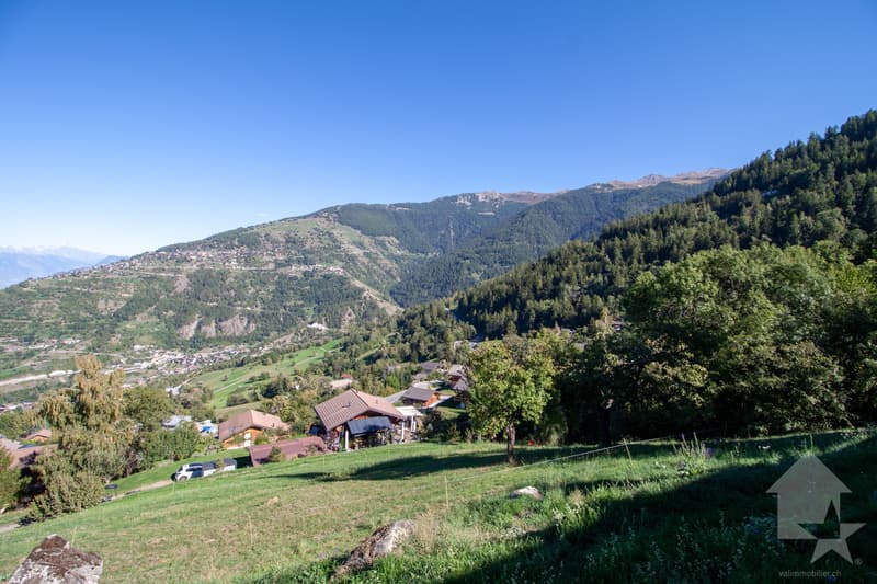 Superbe parcelle de 2'978 m2 à bâtir à 5 minutes des pistes (4)
