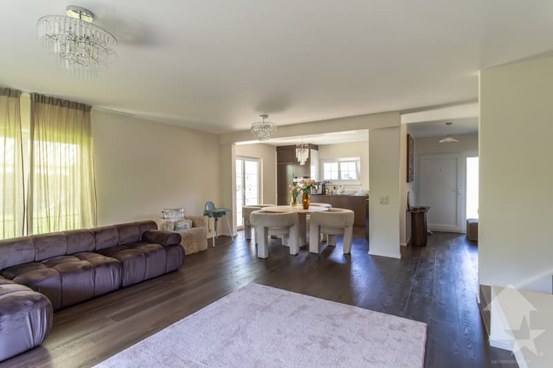 Magnifique villa 6.5 pièces rénovée avec studio et grand jardin (5)