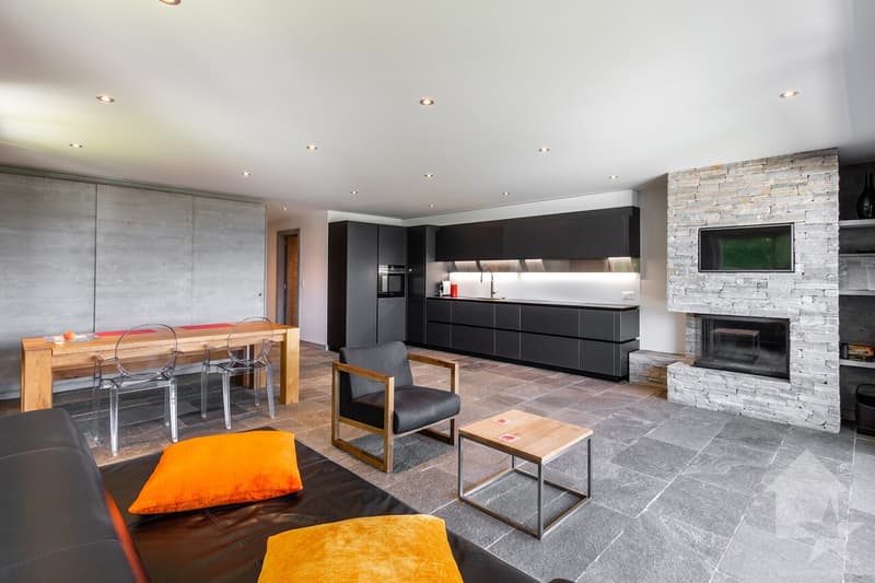 Luxueux appartement de 4.5 p, état de neuf, 3 sdb, vue splendide (2)