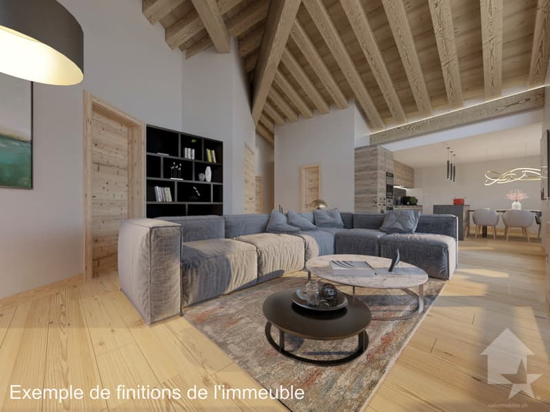 Spacieux appt, 3.5 p, 98 m2, au 1er étage d'un immeuble neuf (1)