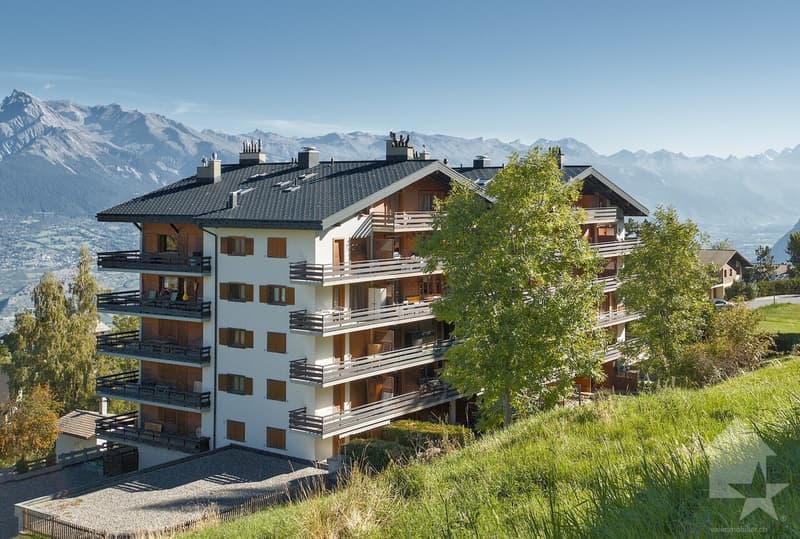 Spacieux attique en duplex de 7.5 pièces, 175 m², 4 salles de bains (1)