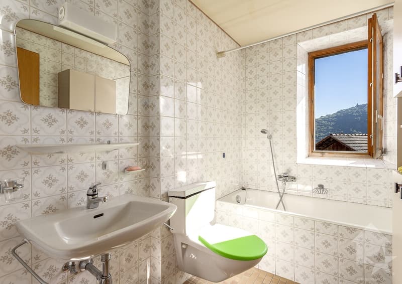 Maison villageoise à rénover, 10 pièces + locaux commerciaux, 400 m2 (4)