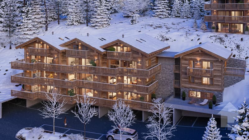 Unique à St-Luc : splendide duplex neuf sous combles tout confort (5)