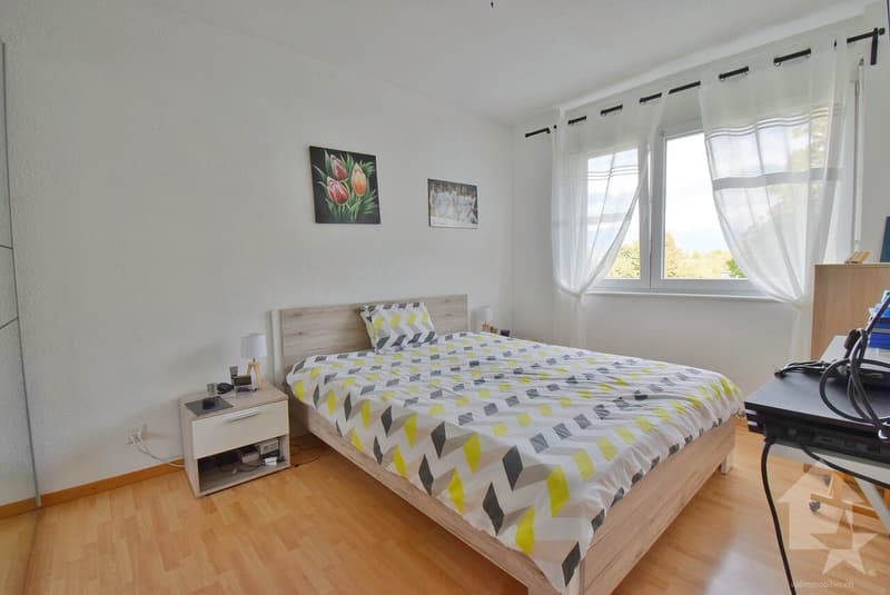 Magnifique appartement de 5.5 pièces avec une grande terrasse ! (9)