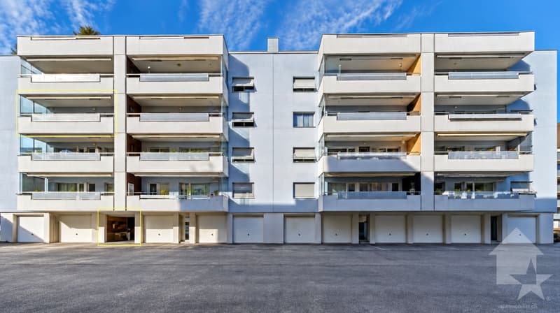 Appartement de 5.5 pièces entièrement rénové (1)