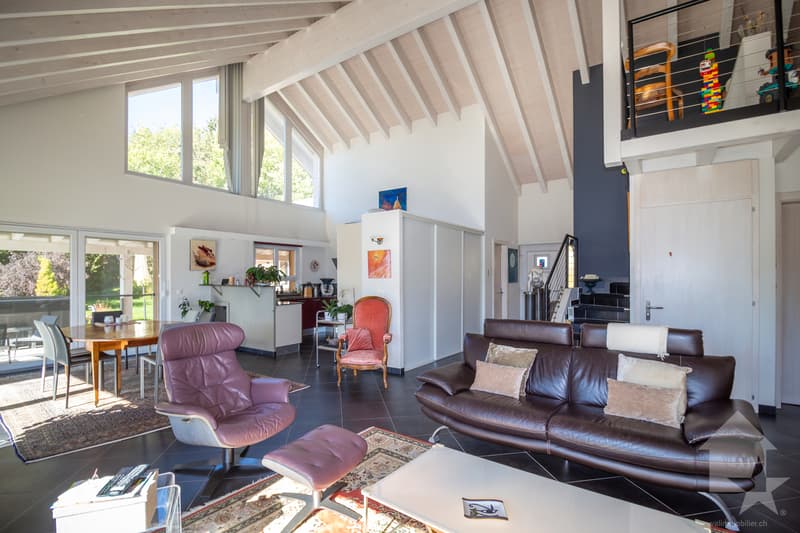 Splendide propriété avec villa de 7.5 pièces de 319 m² habitables (5)