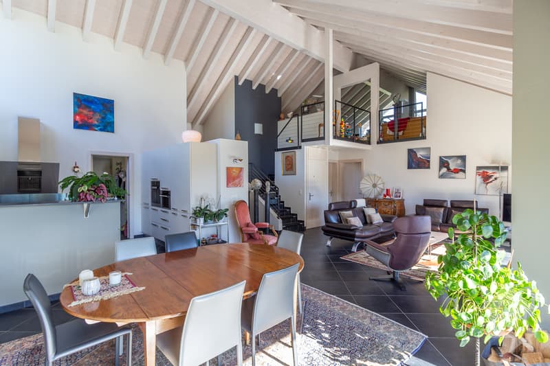 Splendide propriété avec villa de 7.5 pièces de 319 m² habitables (3)