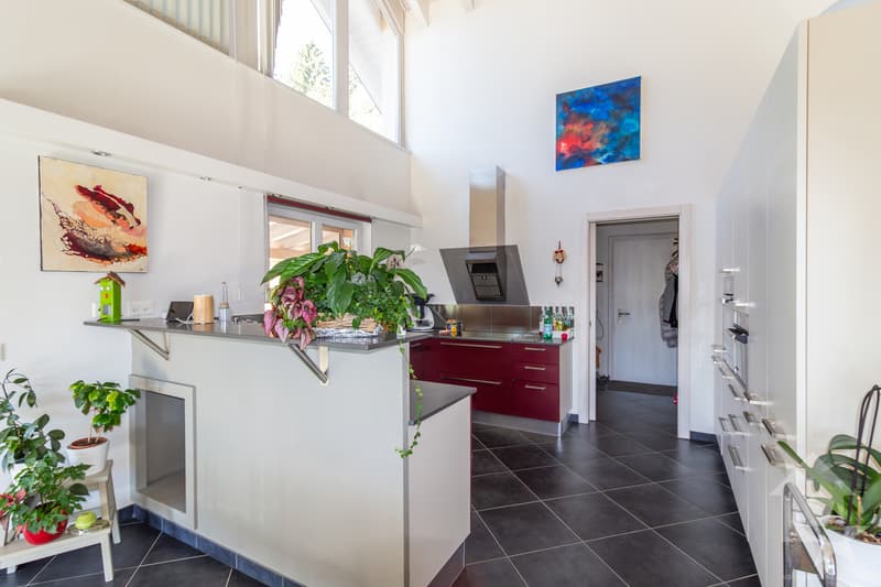 Splendide propriété avec villa de 7.5 pièces de 319 m² habitables (13)