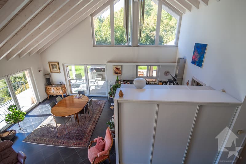 Splendide propriété avec villa de 7.5 pièces de 319 m² habitables (9)