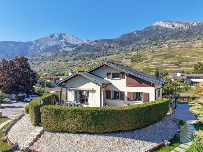 Maison villageoise de 7.5 pièces rénové, grand jardin et terrasses (7)