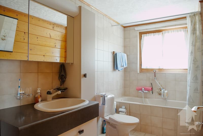 Magnifique chalet (11)