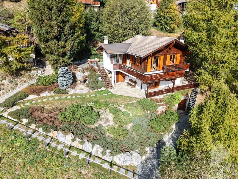 Joli chalet en bordure de piste (1)