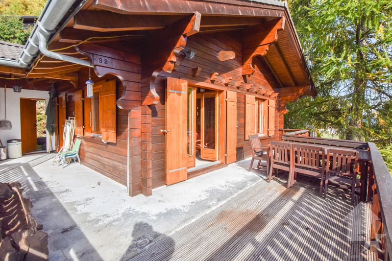 Joli chalet en bordure de piste (12)
