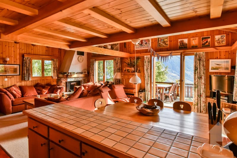 Joli chalet en bordure de piste (8)