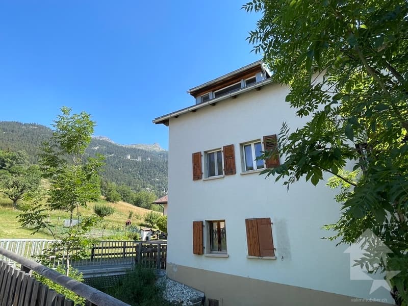 Maison ancienne en partie transformée: 1 duplex et 1 niveau à aménager (1)