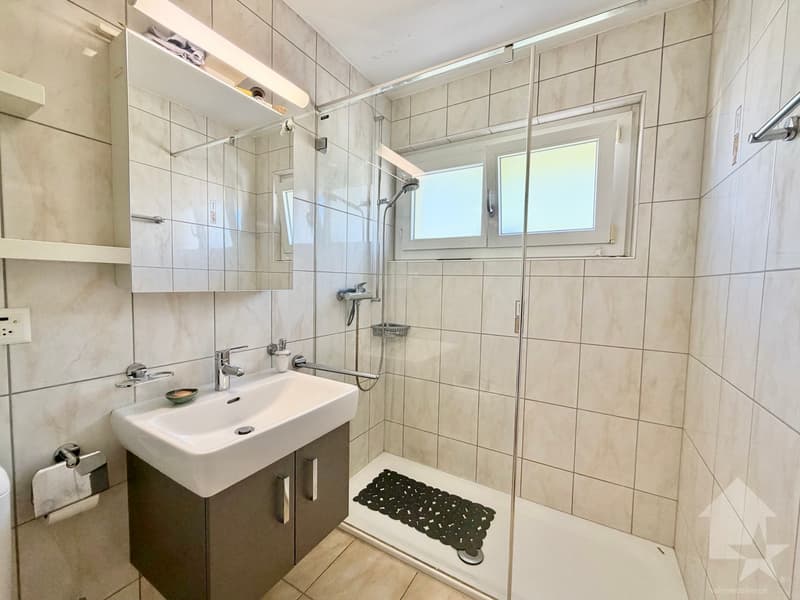 Joli appartement rénové de 90 m2 avec garage box et parc ! (11)