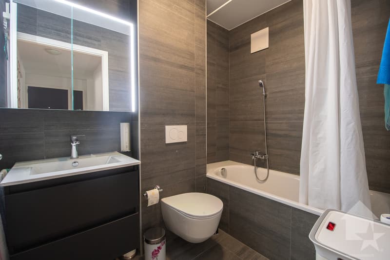 Spacieux appartement traversant de 4.5 pièces avec terrasse (7)