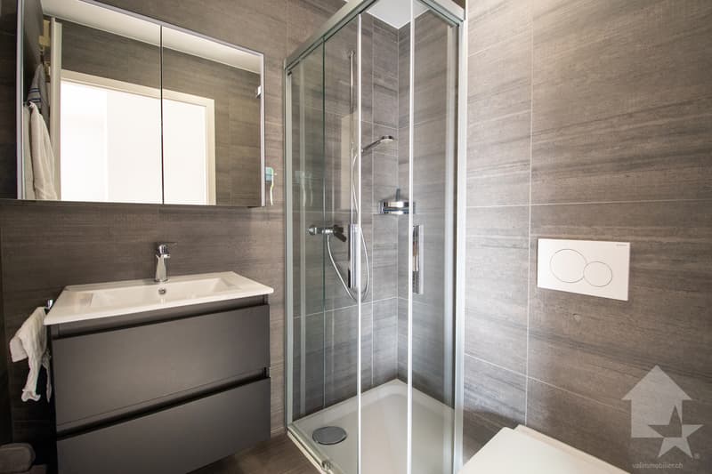 Spacieux appartement traversant de 4.5 pièces avec terrasse (10)