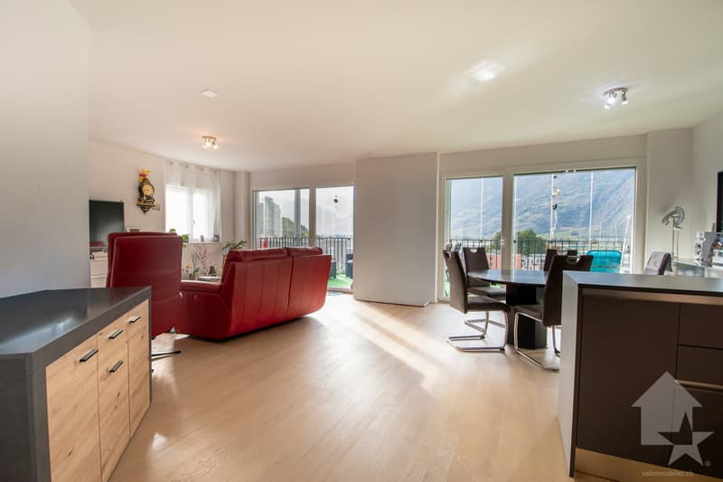 Spacieux appartement traversant de 4.5 pièces avec terrasse (1)