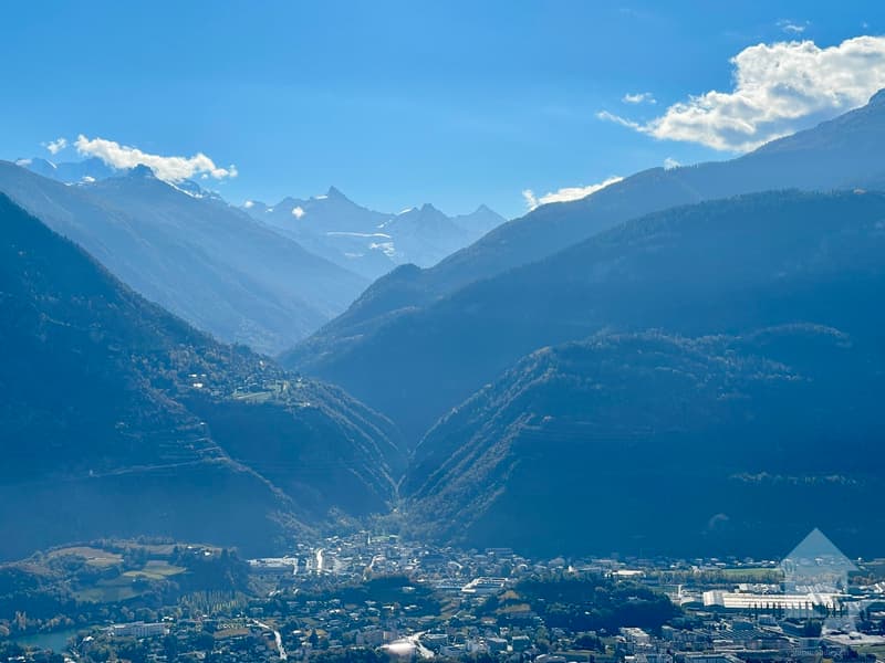 Local commercial de 550 m² sur 2 niveaux, vendu loué jusqu'à fin 2029 (3)