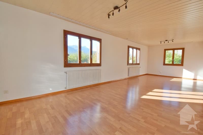 Charmante villa de 4.5 pièces très bien orienté (4)