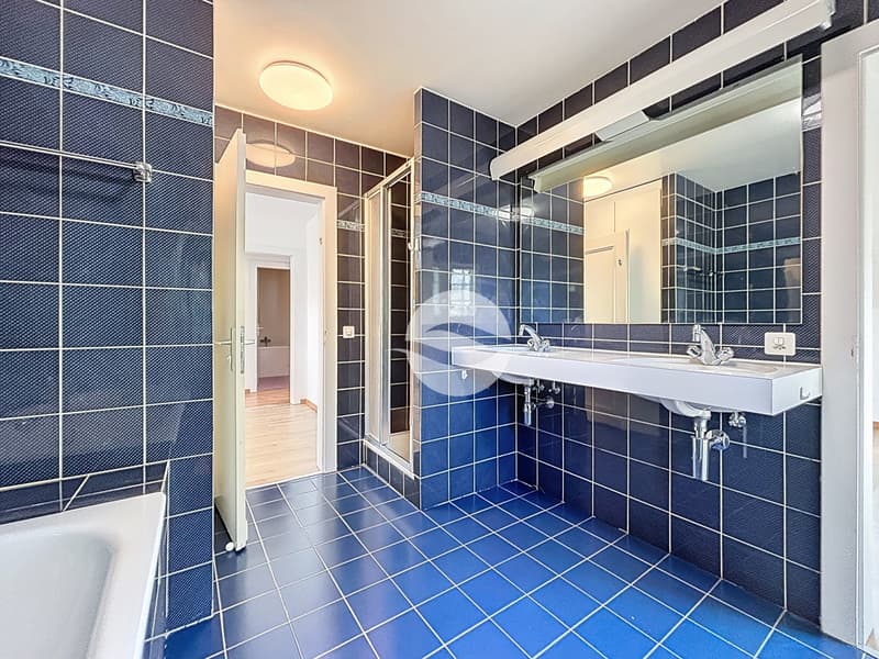 Salle de bains en suite