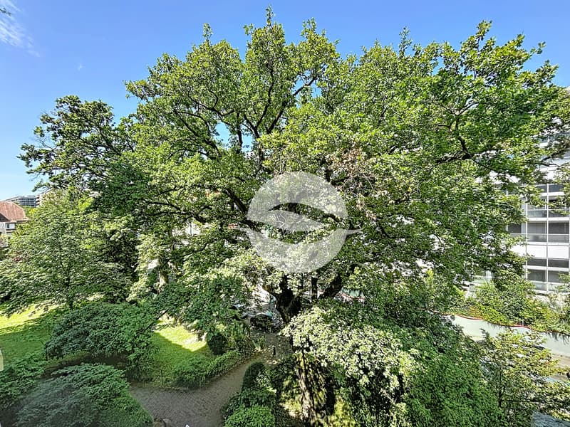 Vue depuis la terrasse