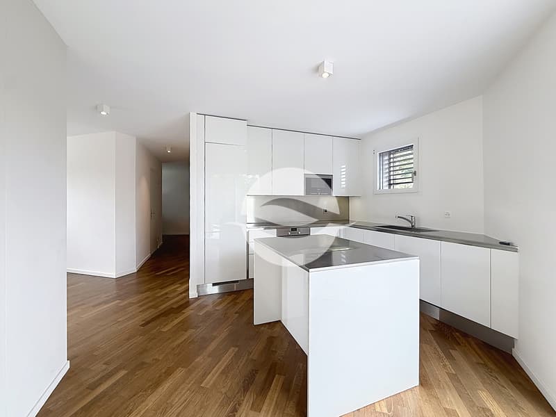 Petit-Lancy - Superbe appartement de 6.5 pièces avec terrasse (3)