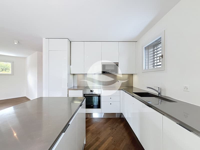Petit-Lancy - Superbe appartement de 6.5 pièces avec terrasse (2)