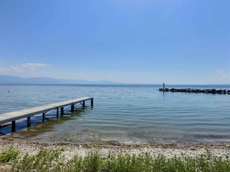 Pavillon de charme "pieds dans l'eau" de 3.5 pièces à Allaman (9)