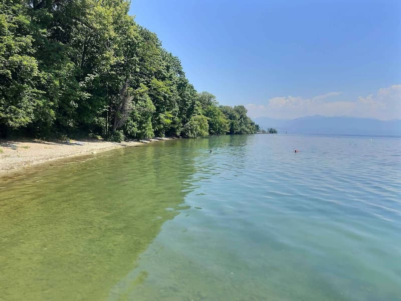 Pavillon de charme "pieds dans l'eau" de 3.5 pièces à Allaman (10)