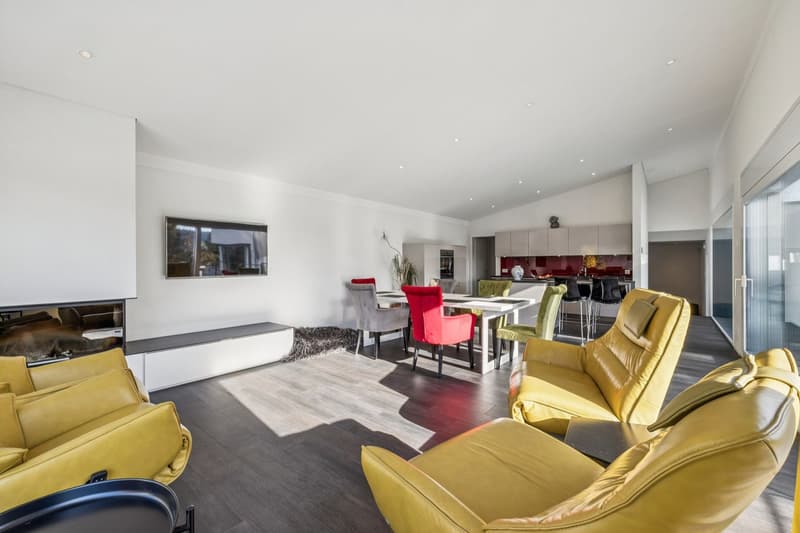 Magnifique villa individuelle de 7.5 pièces au design contemporain (5)