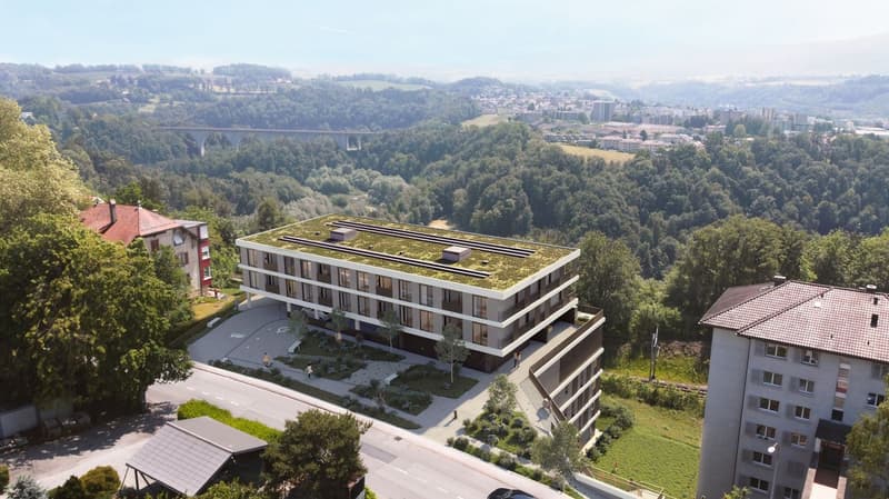 Appartement de 3.5 pièces au rez-de-chaussée - Lot 1 (6)